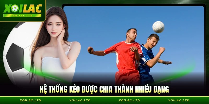 Hệ thống kèo được chia thành nhiều dạng