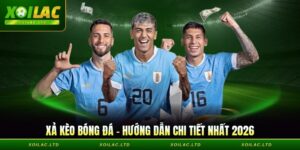 Xả Kèo Bóng Đá - Hiểu Rõ Và Cược Đúng Cho Người Mới